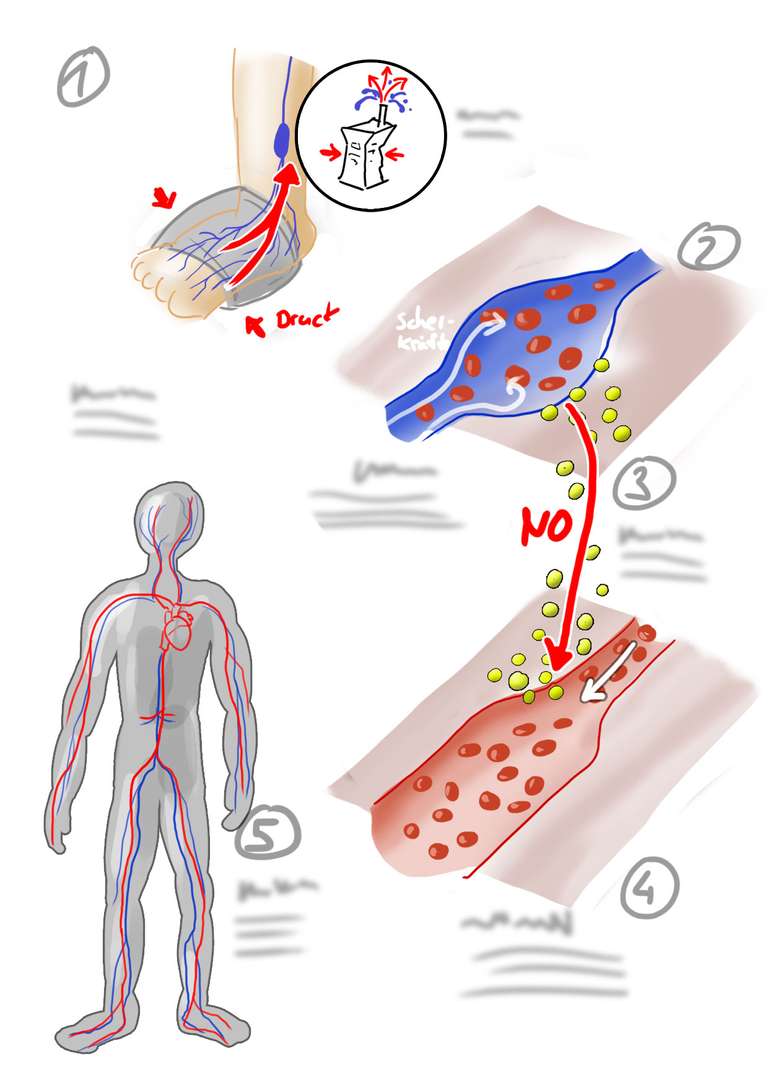 Rohentwurf Aufbau Infografik