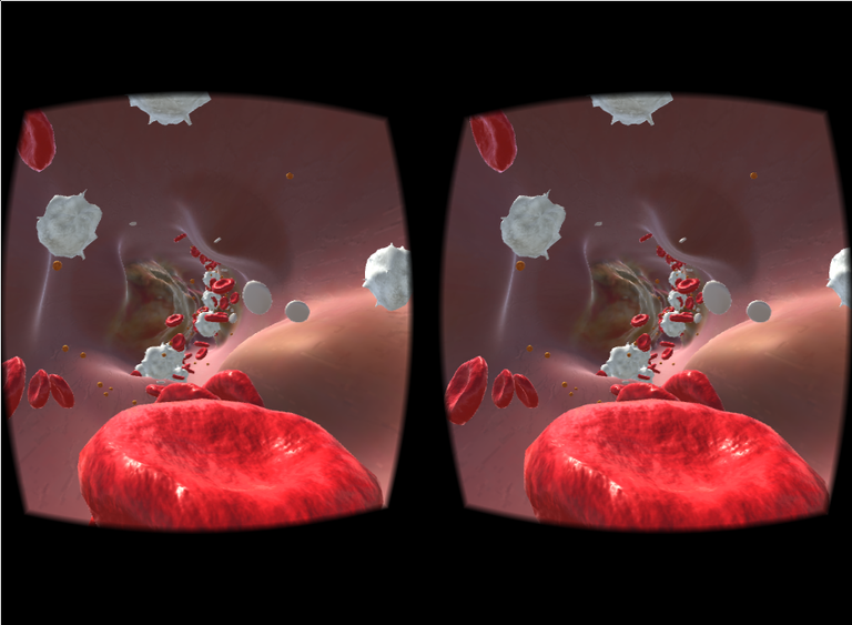 Stereoskopische 3D Ansicht der VR Anwendung