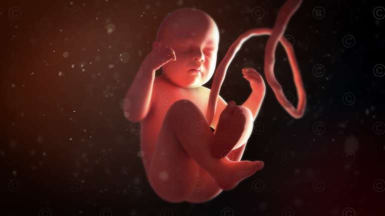 Schwebender Fötus im Mutterleib